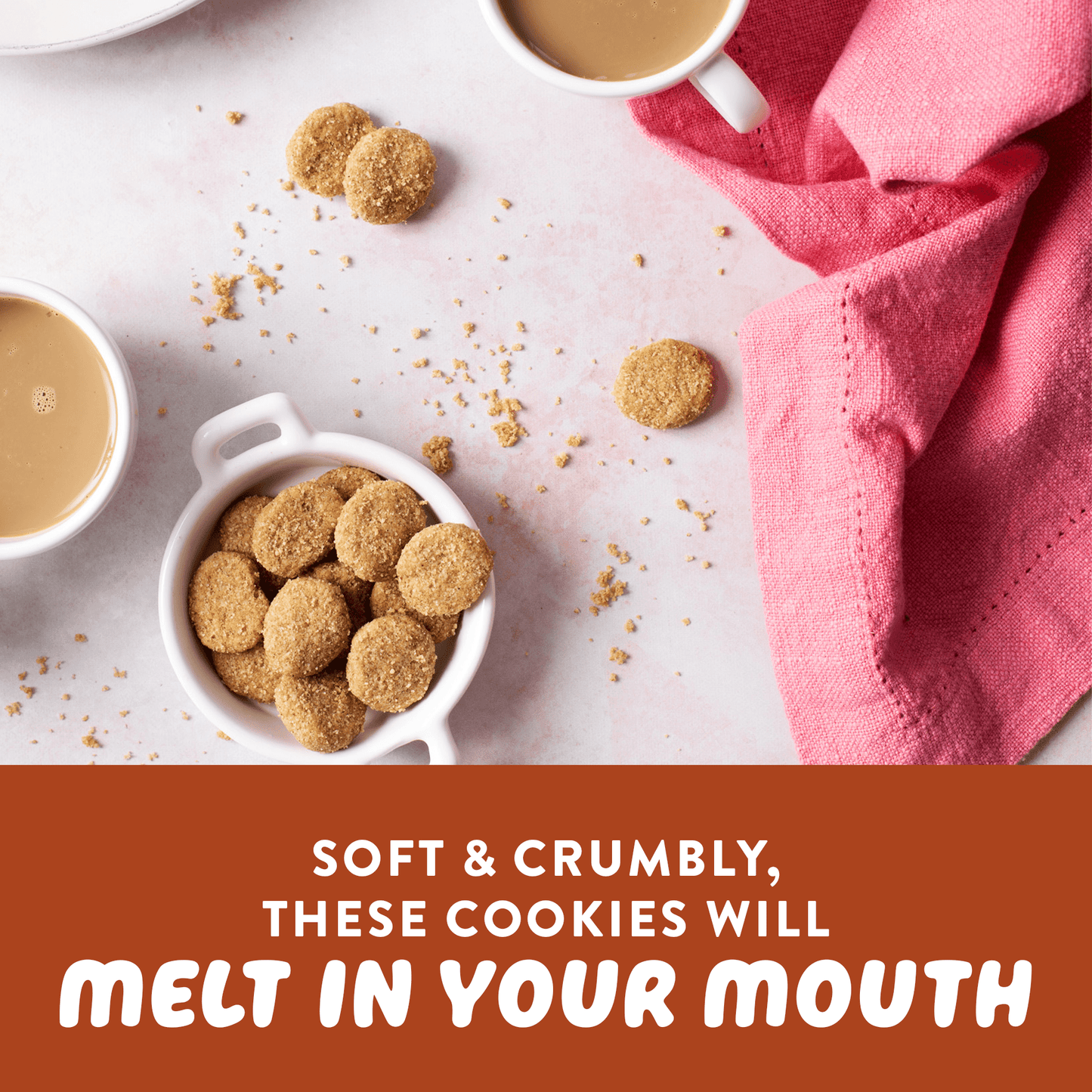 Mini Cookies: Snickerdoodle (3 Pack - 2.25 oz bags)