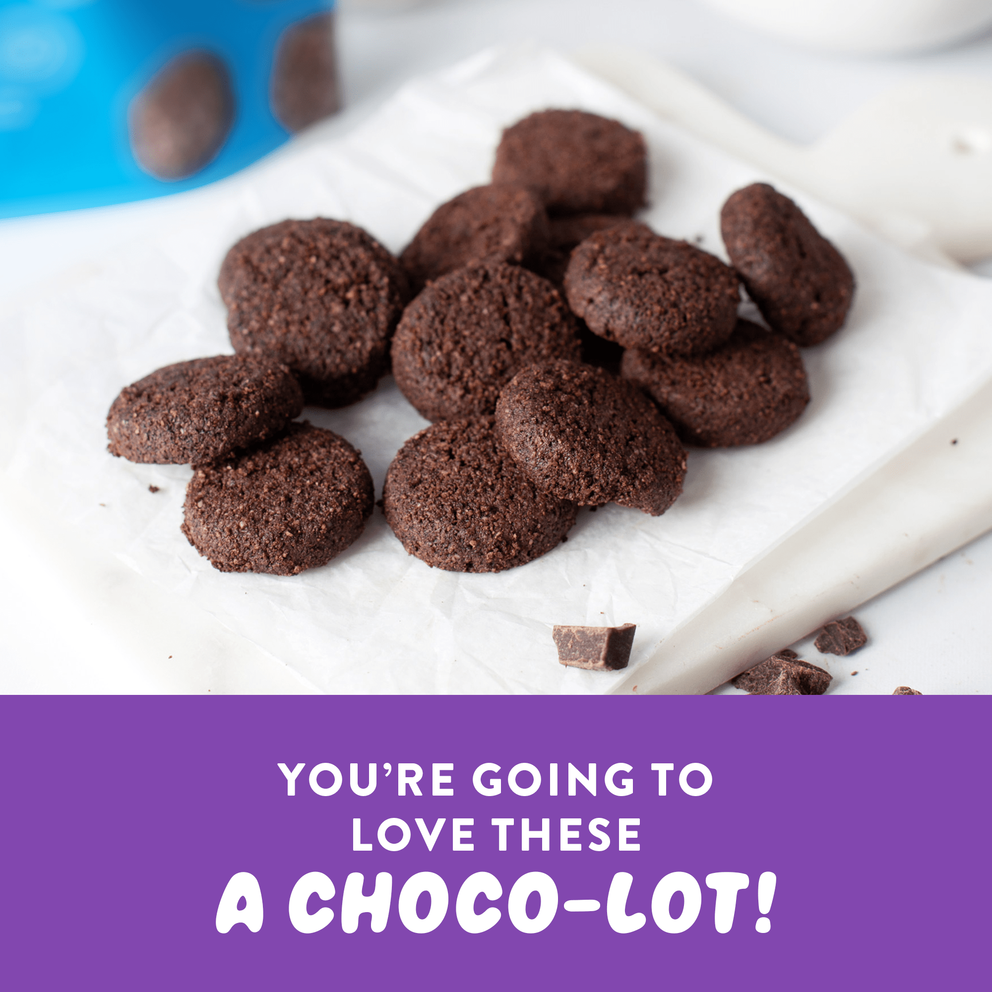 Mini Cookies: Double Chocolate Brownie (3 Pack - 2.25 oz bags)